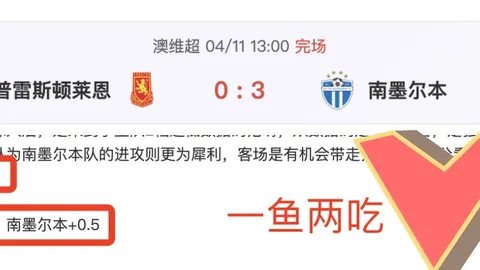 迈阿密站ATP决赛亮点回顾：门希克迎战德约科维奇，精彩瞬间集锦